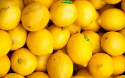 Argentina inicia envíos de limones a India